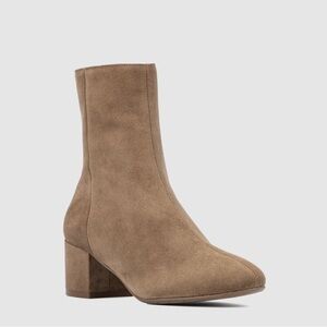 Aquatalia Leonora suede ankle boots
